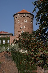Wawel (20060914 0208)